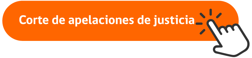 corte de apelaciones de justicia